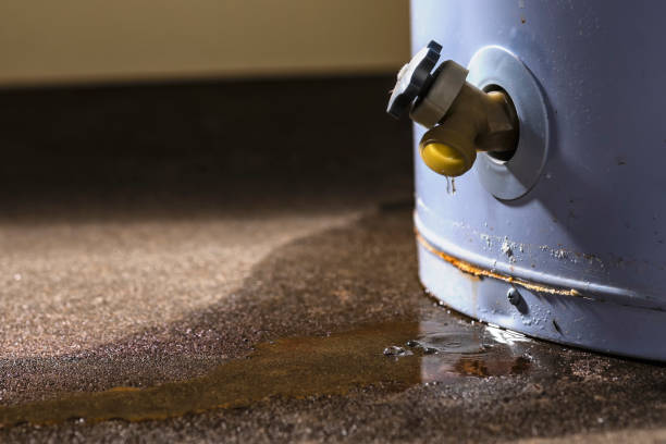Best Fire Damage Restoration  in Socorro, TX