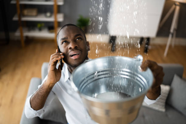 Best Basement water damage restoration  in Socorro, TX