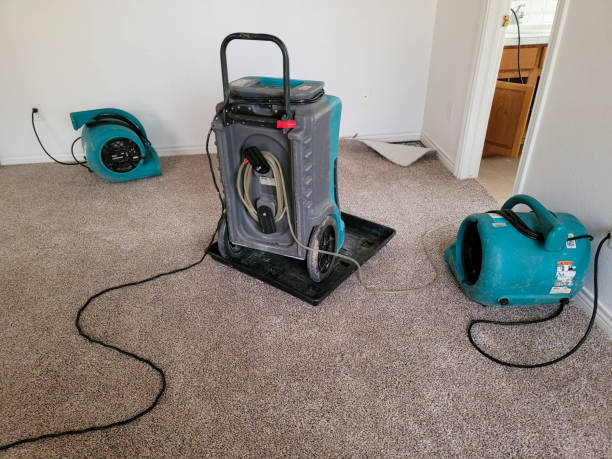Best 24-hour water damage restoration  in Socorro, TX