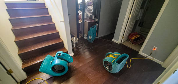Best Water damage cleanup near me  in Socorro, TX
