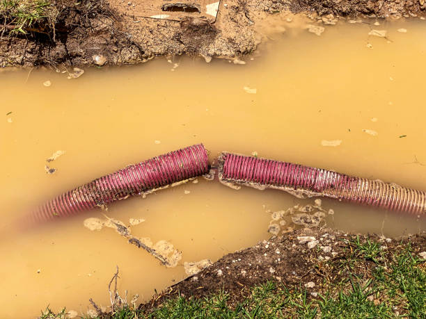 Best Water damage contractors near me  in Socorro, TX