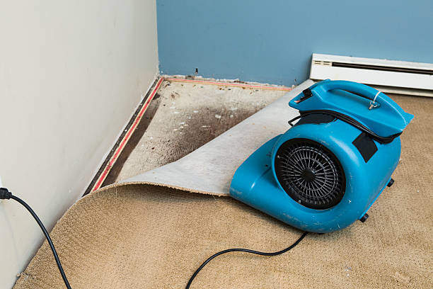 Best Ceiling water damage repair  in Socorro, TX